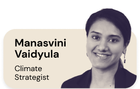 Manasvini Vaidyula, Climate Strategist