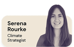 Serena Rourke, Junior Strategy Analyst